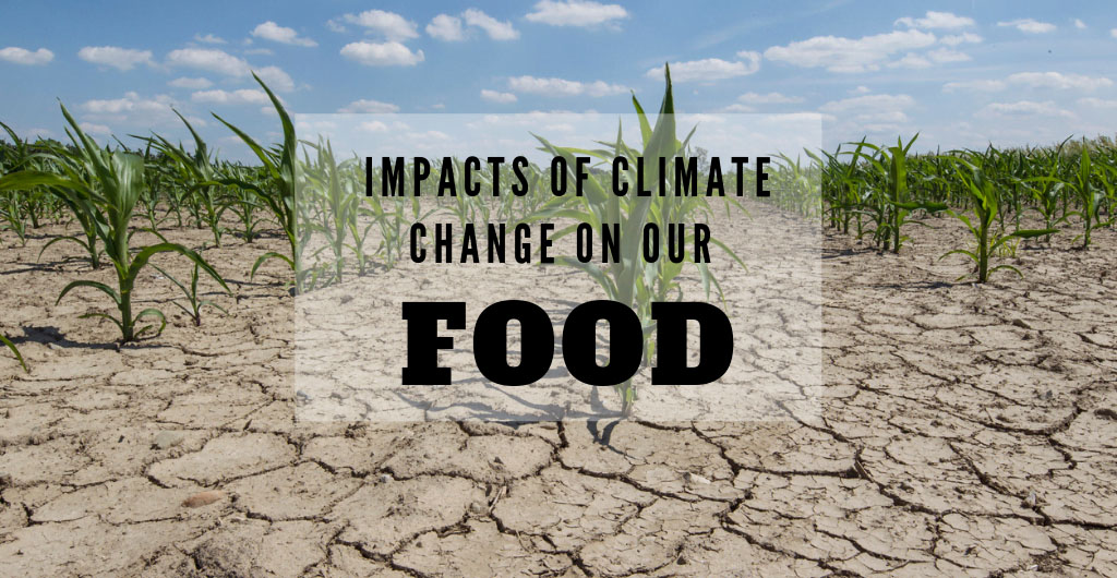 Reduction CO2 emissions by food production